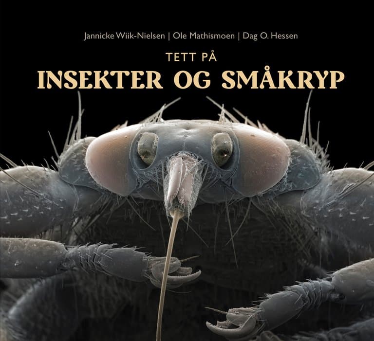 Omslag Tett på insekter og småkryp av Jannicke Wiik-Nielsen, Dag O. Hessen og Ole Mathismoen (Innbundet)