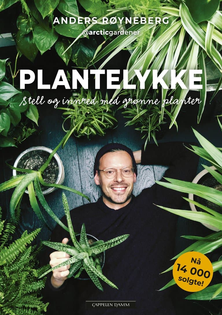 Omslag Plantelykke – Stell og innred med grønne planter av Anders Røyneberg (Innbundet)